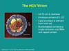 Clinical Management of Hepatitis C in Patients With and Without HIV Coinfection