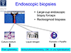 HIV-1 Pathogenesis and the GI Tract: The Effects of Colorectal Immune Deficiency & Reconstitution