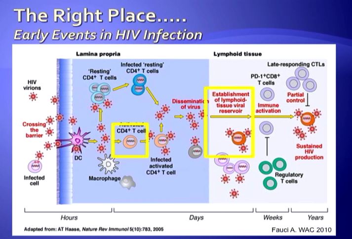 HIV Prevention with Antiretroviral Agents: How To Predict Success?