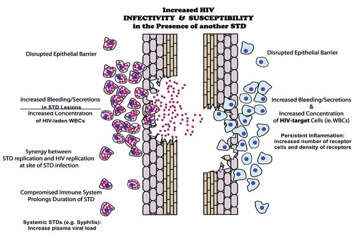 Historical Clues, Physical Signs, Laboratory Diagnosis & Treatment of Oral, Anogenital & Systemic STDs
