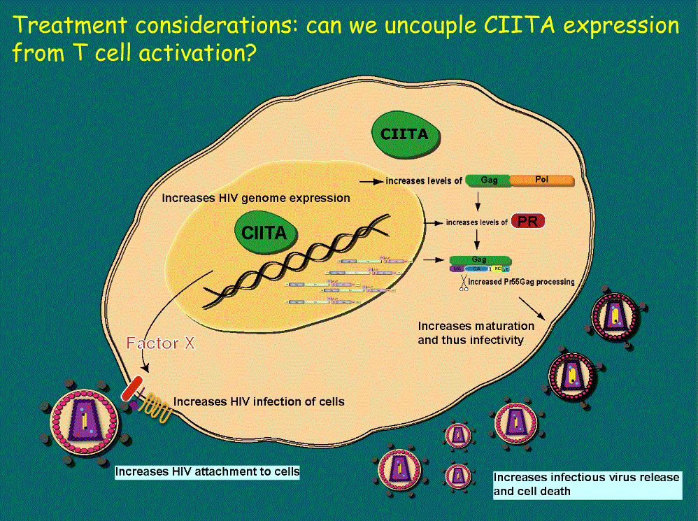 Interactions between HIV and the Host Cell: Latency or Virus Production?