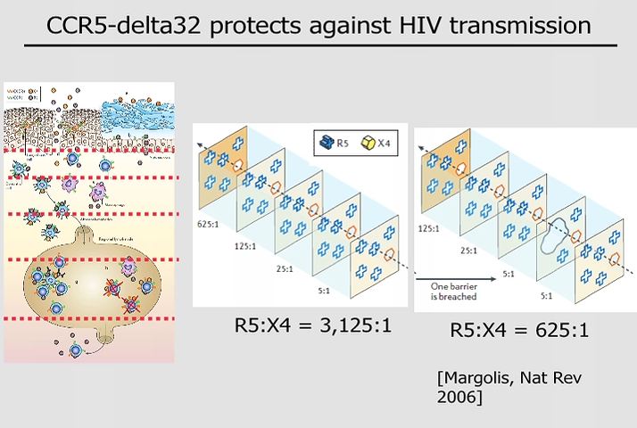 The Berlin Patient: Eradication of HIV with CCR5 deficient hematopoietic stem cells