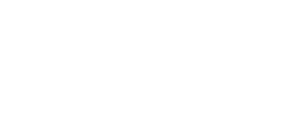 CEI Logo