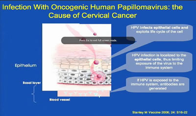 Bivalent & Quadrivalent Human Papillomavirus Vaccines: The Current Status & Future Prospects for HIV