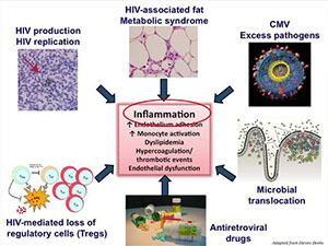 Immune Activation in the Pathogenesis of HIV Infection: Causes and Consequences