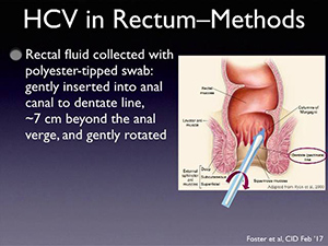Characterizing the Mechanisms of Sexual Transmission of HCV Among Men Who Have Sex with Men
