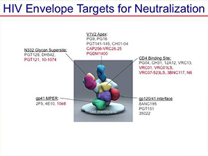Current Approaches Toward the Cure of HIV Disease