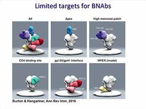 HIV Controllers: Implications for HIV Cure/Remission