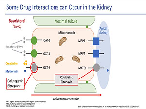 HIV Treatment in an Era of Polypharmacy: The Current and Future Challenges with Drug Interactions