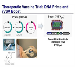 Therapeutic Strategies Aimed at Achieving Antiretroviral Drug-Free HIV Remission